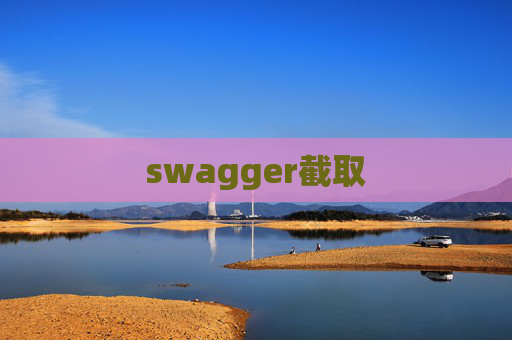 swagger截取